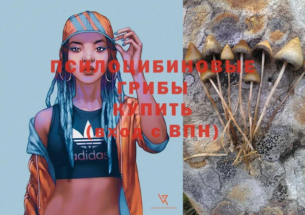 дмт Баксан
